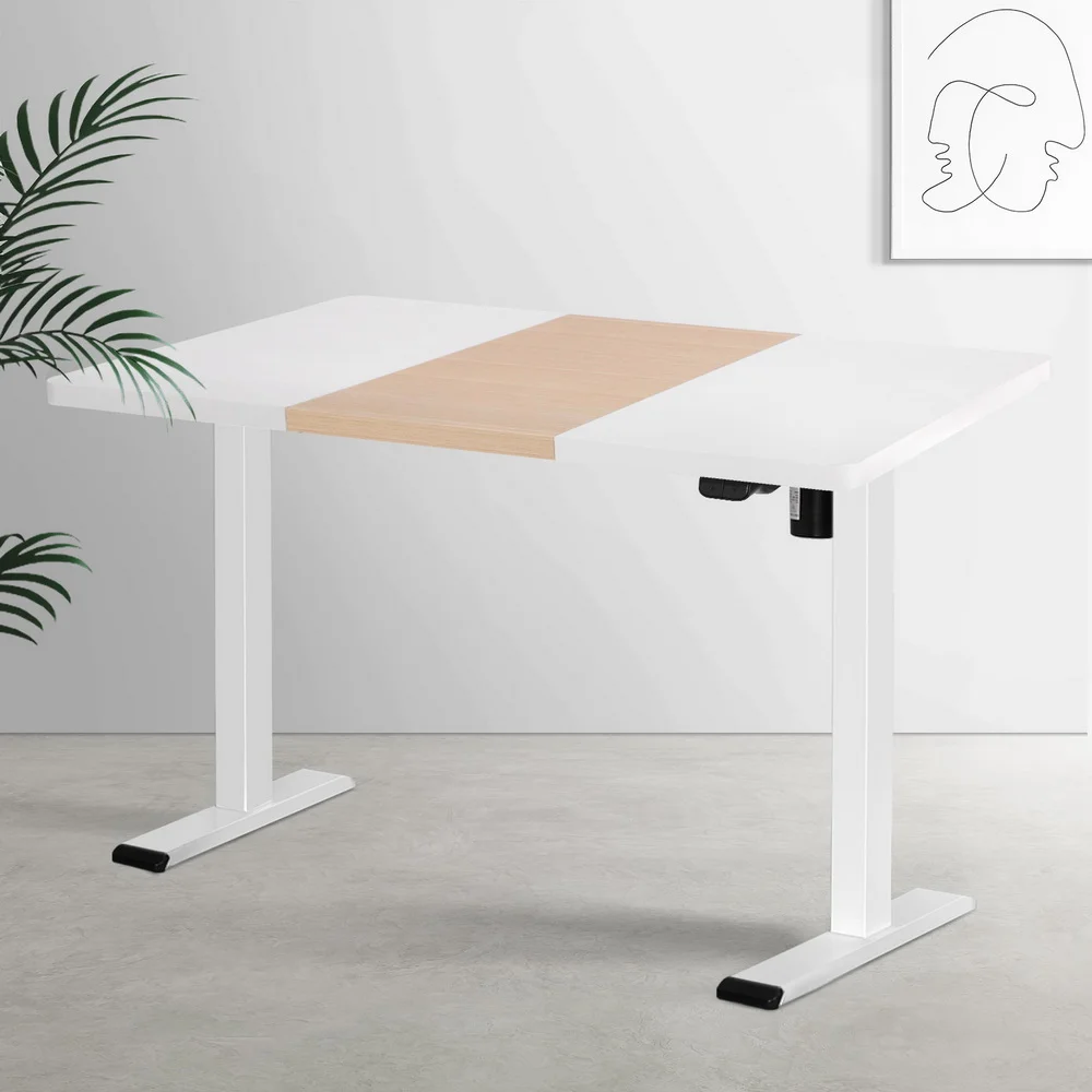 Artiss Standing Desk Motorised Sit Stand Desks 120CM