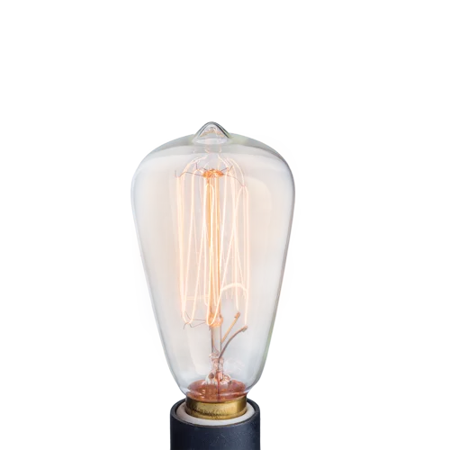 NP3 Bulb Edison