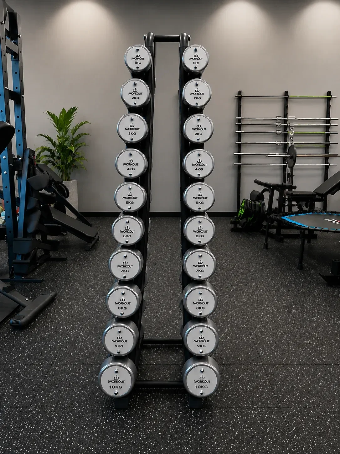 1-10KG Premium Round Chrome Dumbbell Set with Rack