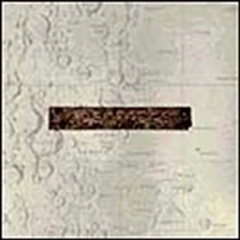 Things We Lost In The Fir - Low Cd Album