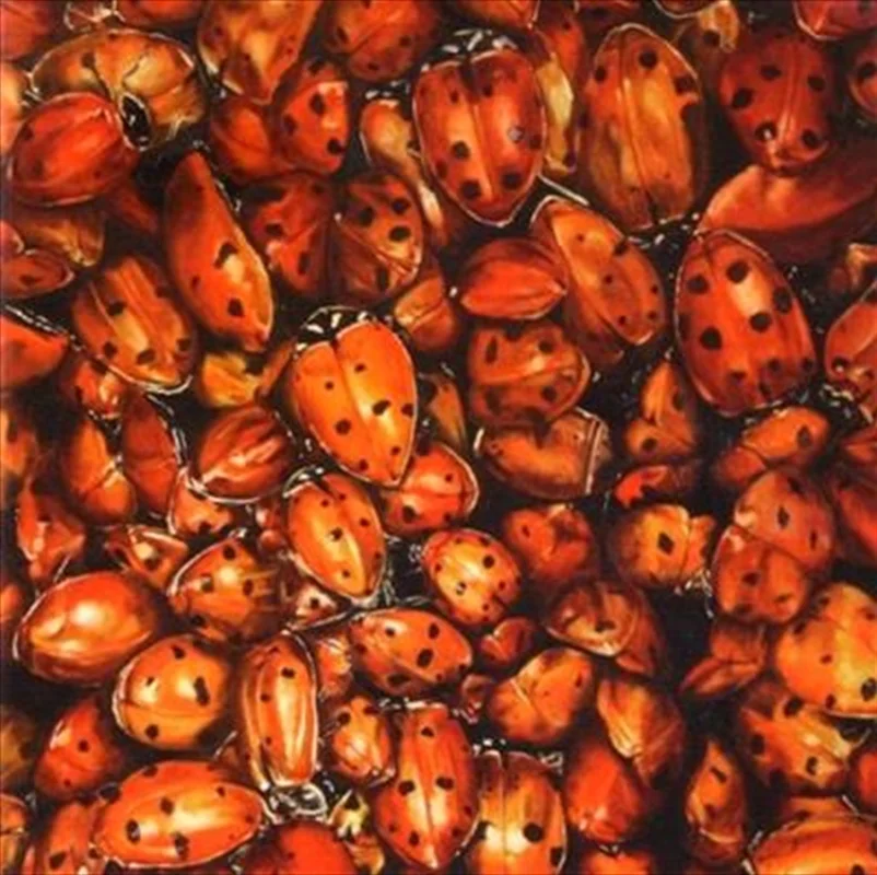 Tonights - Tonights Cd Album