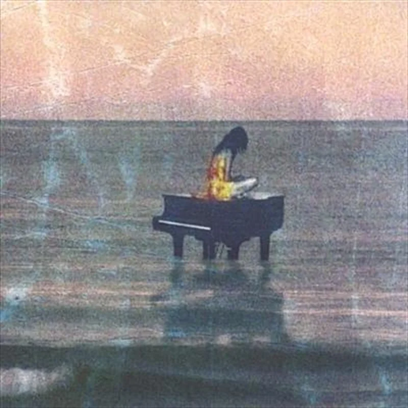 Modes Of Transport - Vriend, Ann Cd Album