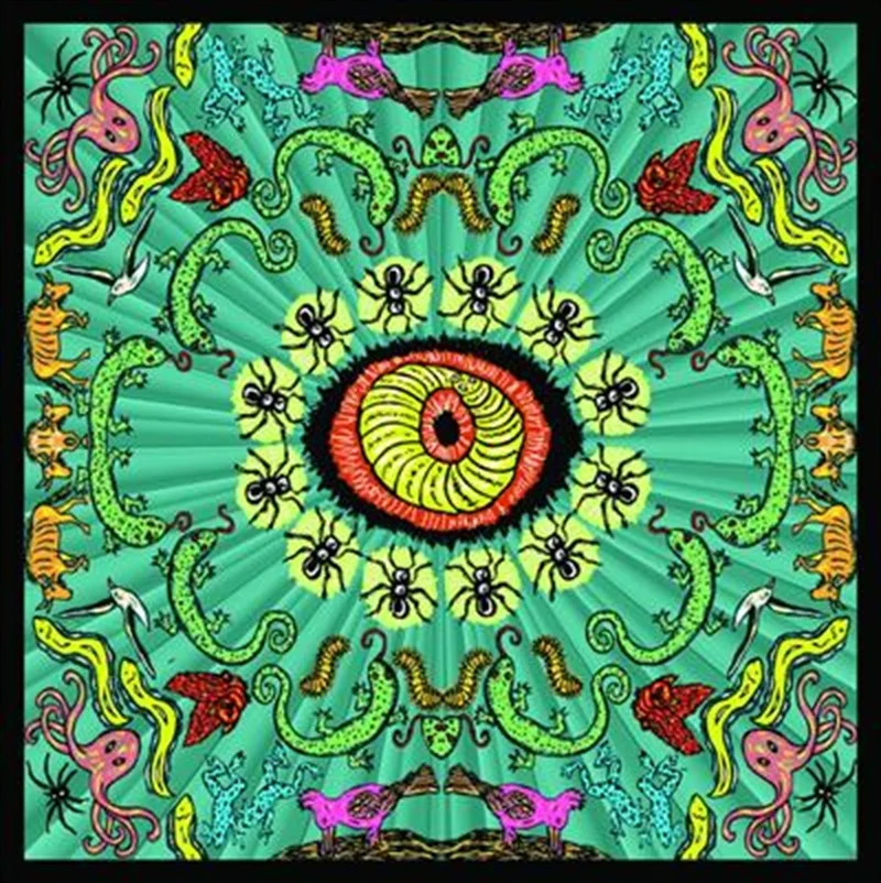 Wilderness - Handsome Family Cd Album