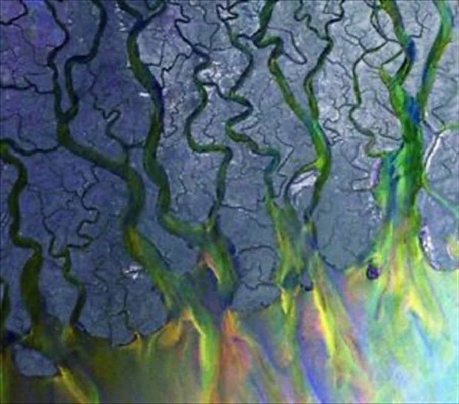 An Awesome Wave - Alt J Cd Album