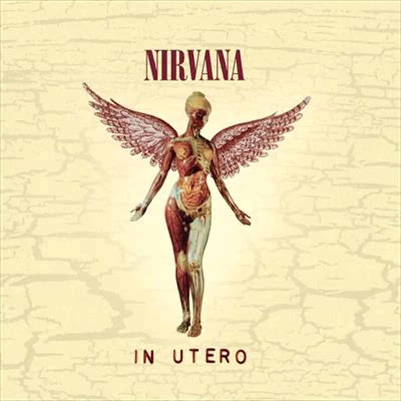 In Utero - 30Th Anniversary - Nirvana Cd Album