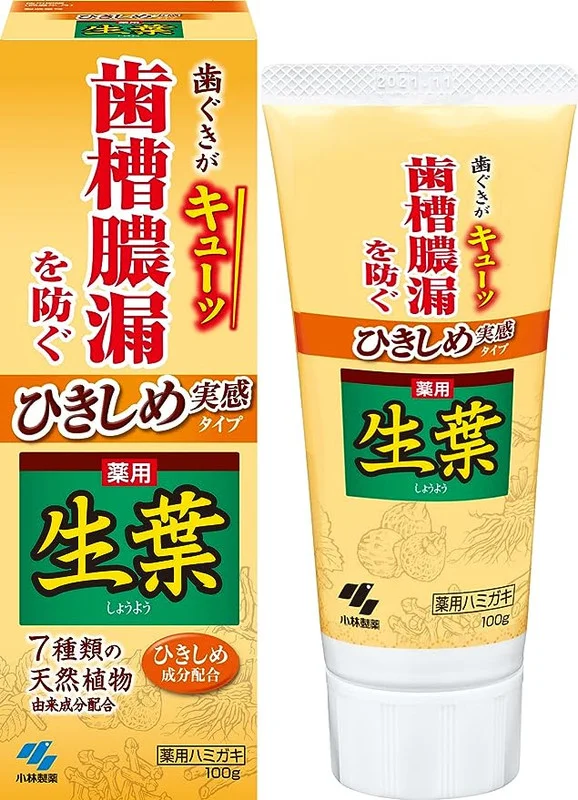 [6-PACK] KOBAYASHI Japan Toothpaste Fresh Leaves Tightening Real Type 100g