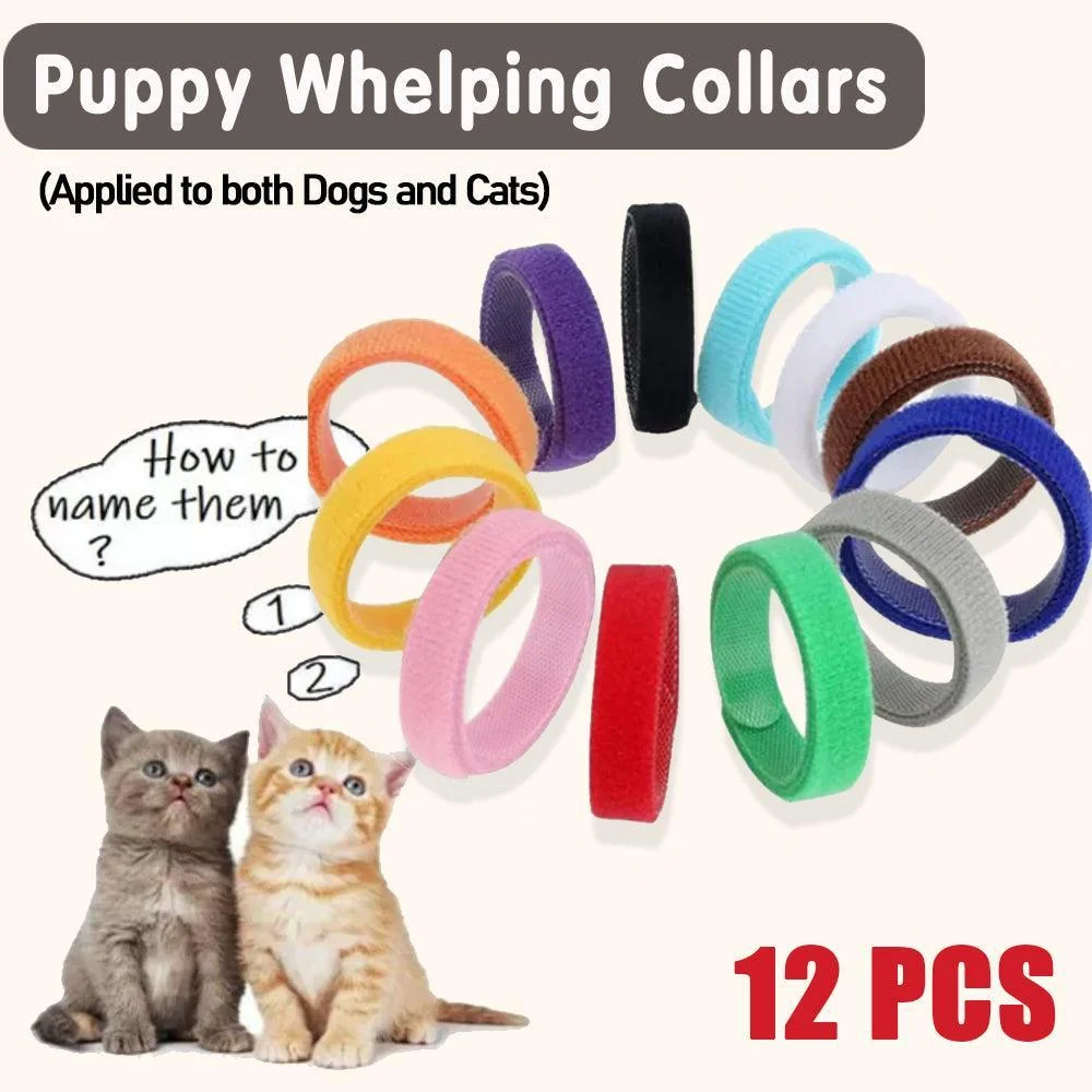 12 Colour Soft ID Collars for Puppies and Kittens Adjustable Pet Identifier Bands