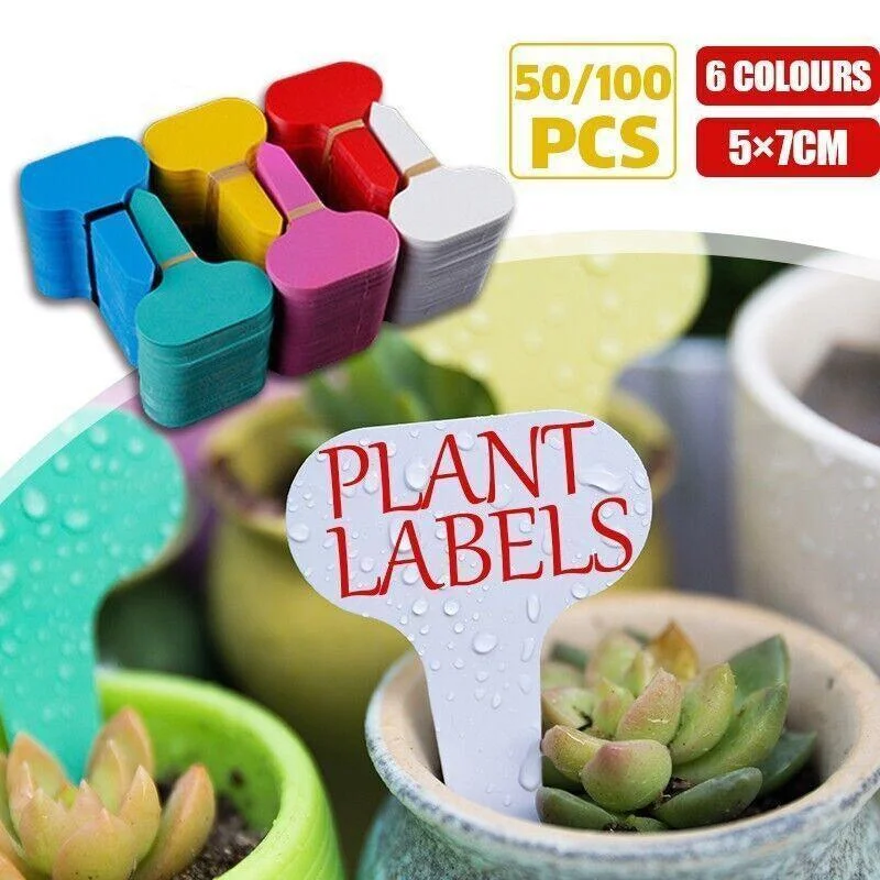 T Plant Labels 50-100Pcs 6 Colours Garden Stakes Markers Tags Nursery Seedling - Blue