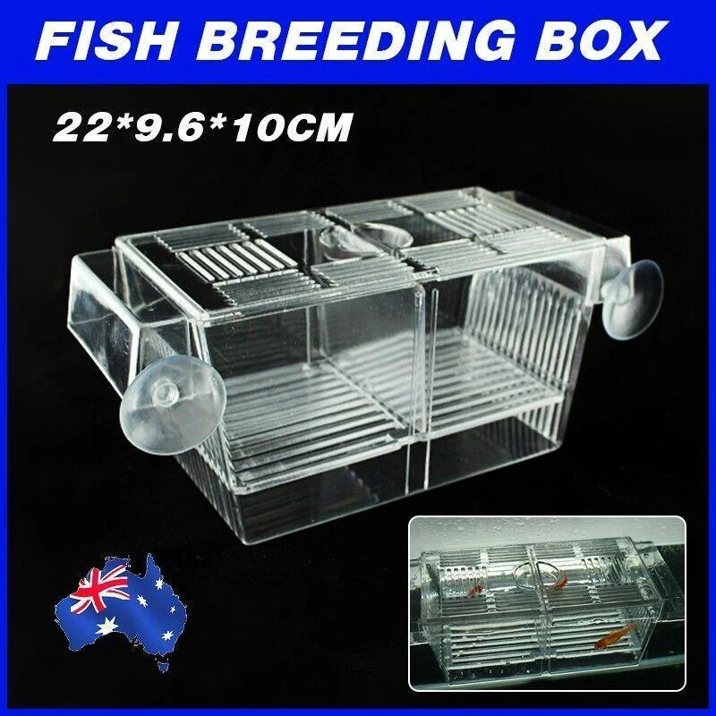 Large Breeding Aquarium Fish Tank Guppy Hatchery Breeder Rearing Isolation Box