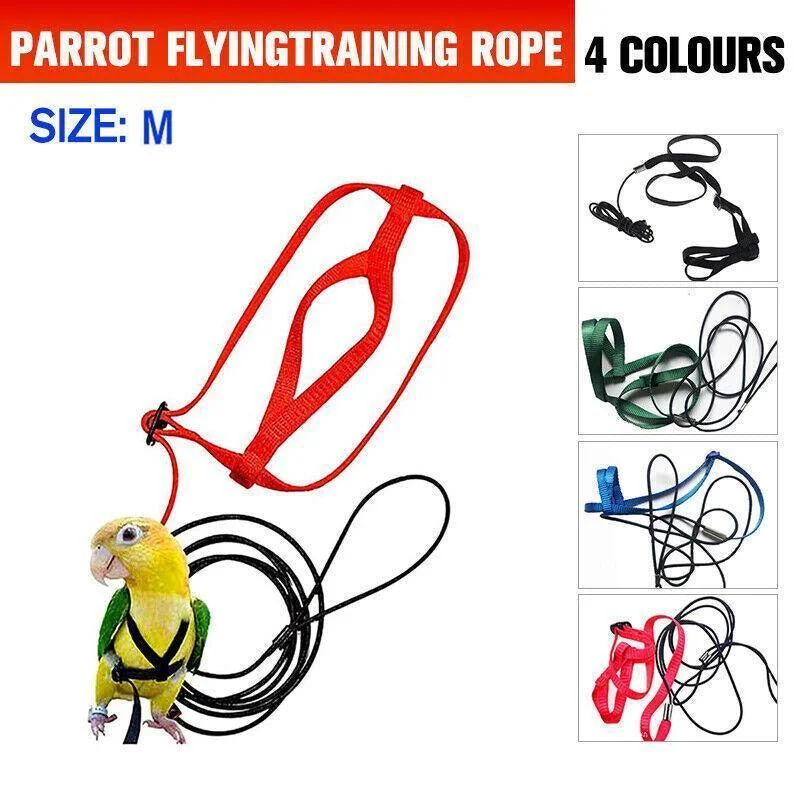 M Pet Parrot Bird Harness Lead Leash Flying Training Rope Cockatiel Outdoor - Red