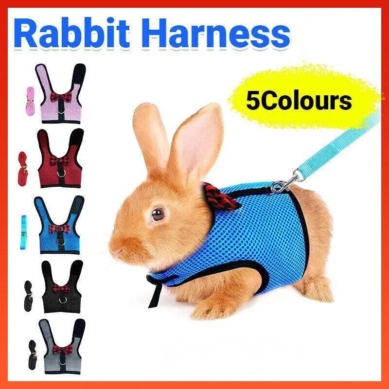 Rabbit Vest Harness Leash Lead Small Animal Pet Mesh Hamster Bunny Traction Rope M - Blue