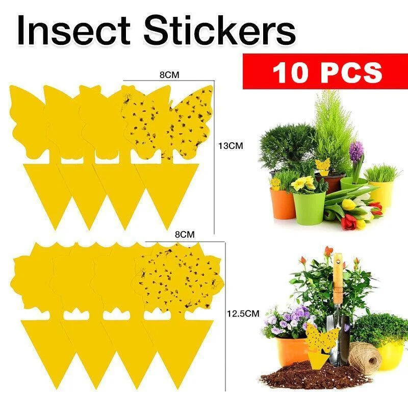 10X Dual Sided Sticky Trap Insect Killer Whitefly Thrip Fruit Fly Gnat - Sunflower 20PCS