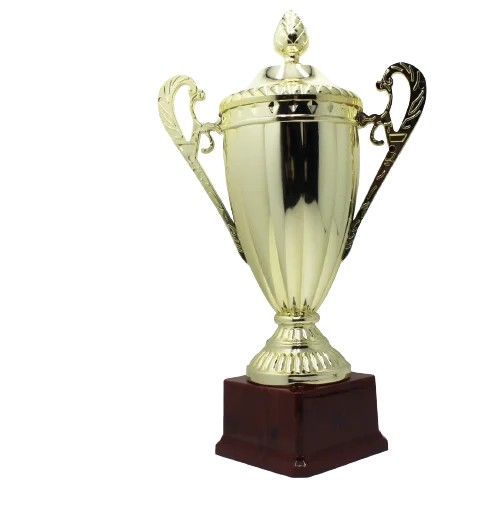 Large Classic Gold Trophy Cup Novelty Winners Prize Solid Achievement Award