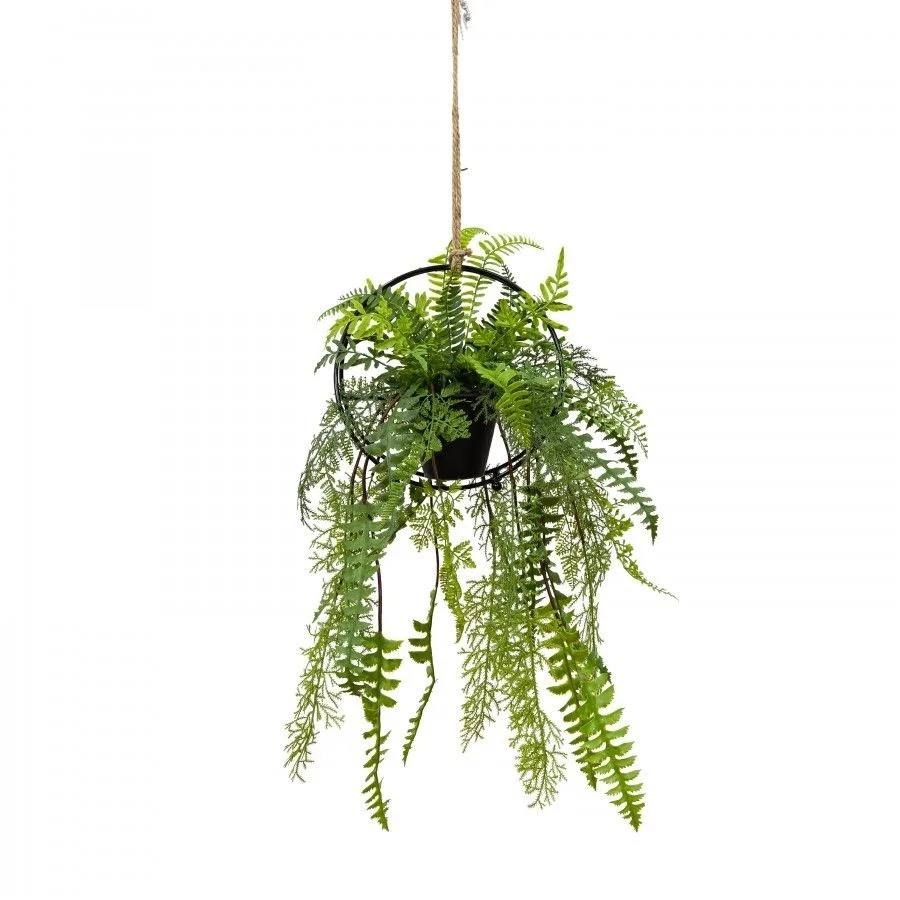 Fusion Faux Mixed Fern in 35cm Circle Frame Hanger with Rope