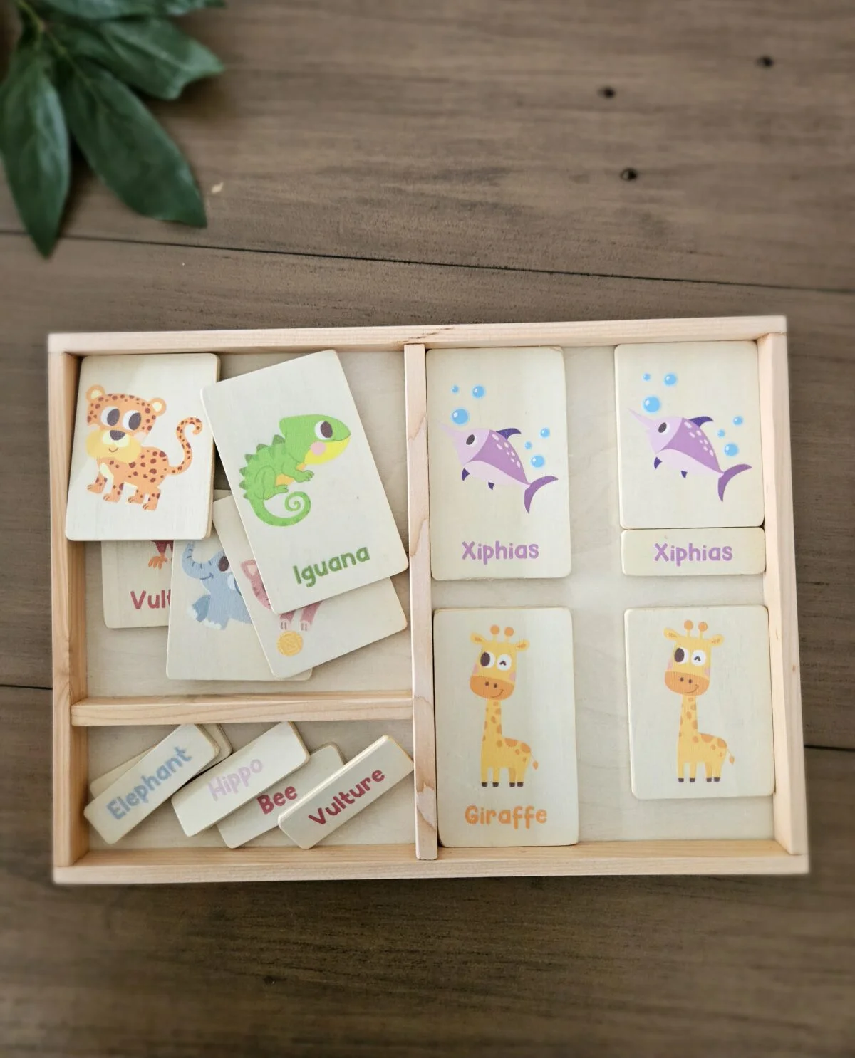 Montessori Tray For Language Card