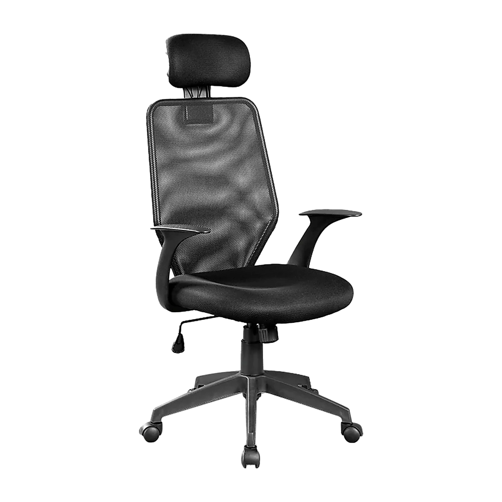 Ergonomic Mesh Office Chair