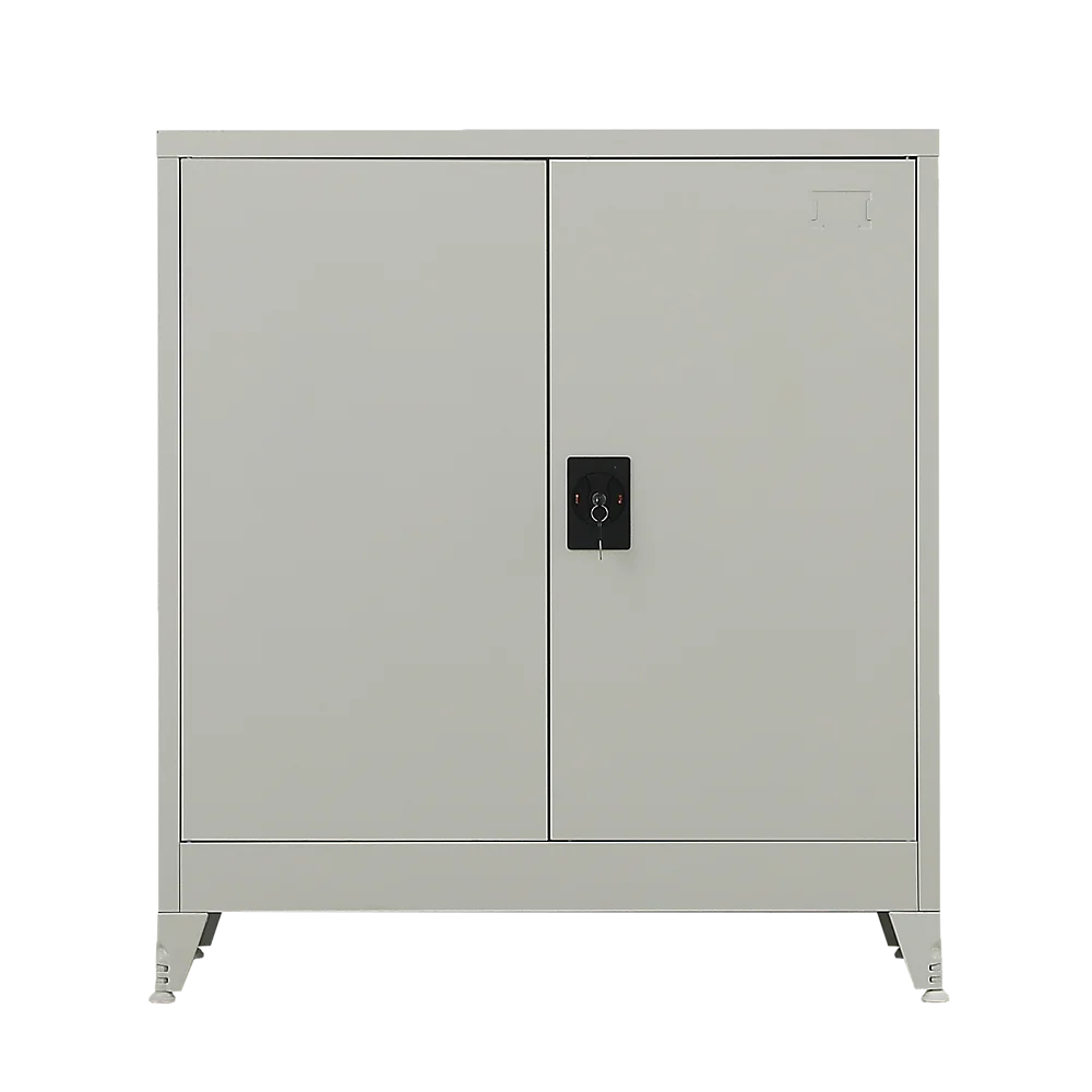 Two-Door Metal Short Cabinet Shelf Storage for Home Office Gym