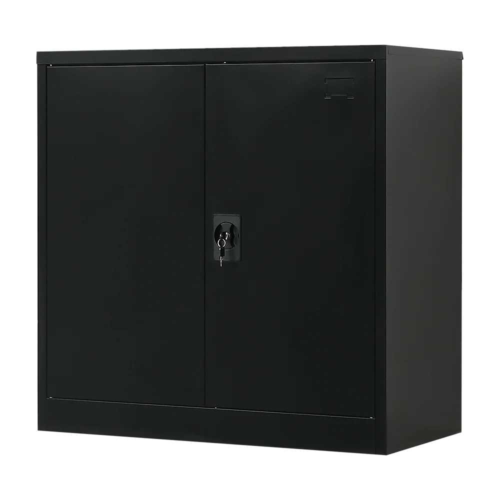 Two-Door Metal Short Cabinet Shelf Storage for Home Office Gym