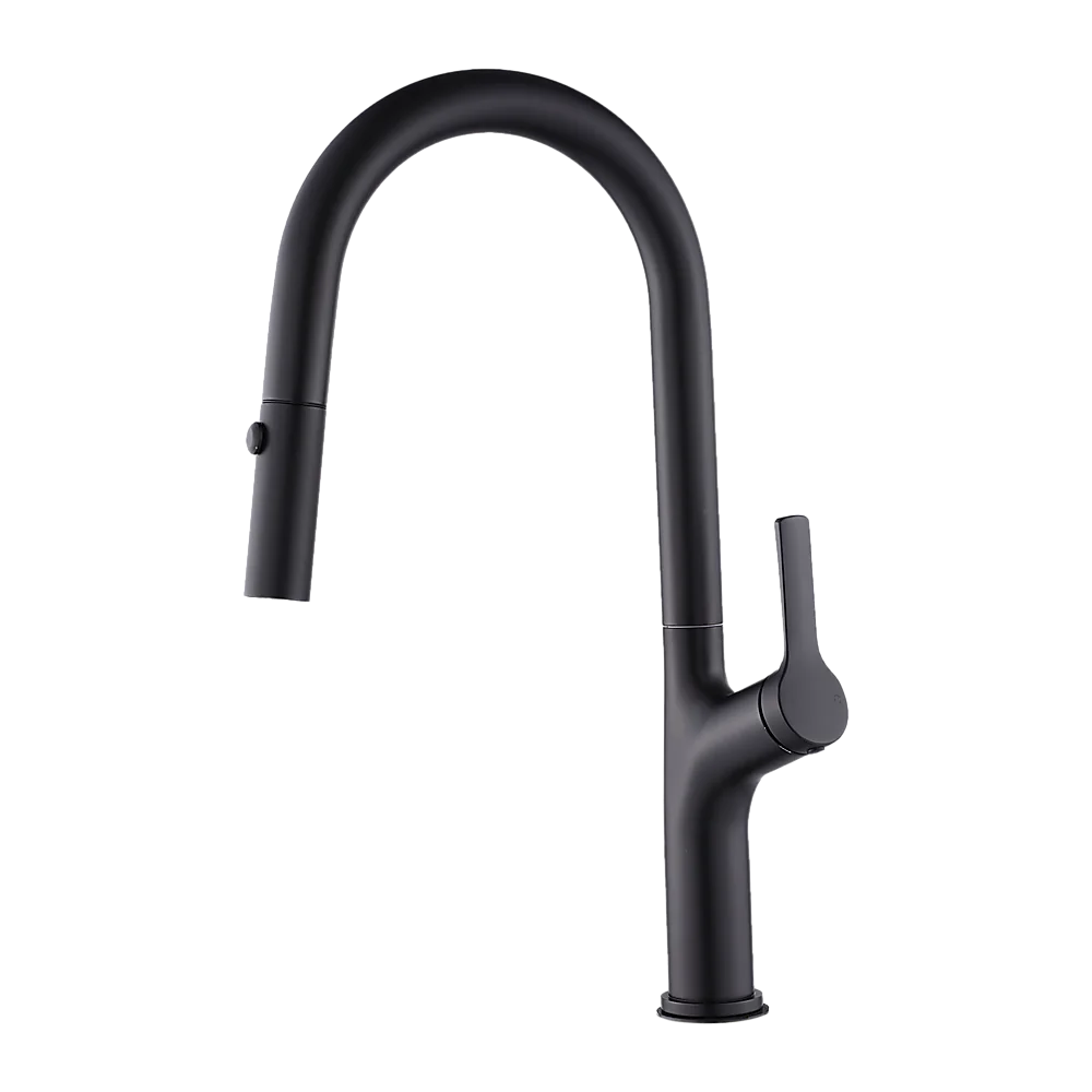 Kitchen Laundry Bathroom Basin Sink Pull Out Mixer Tap Faucet in Black