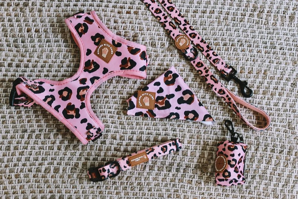  Dog Accessories Bundle Packaged