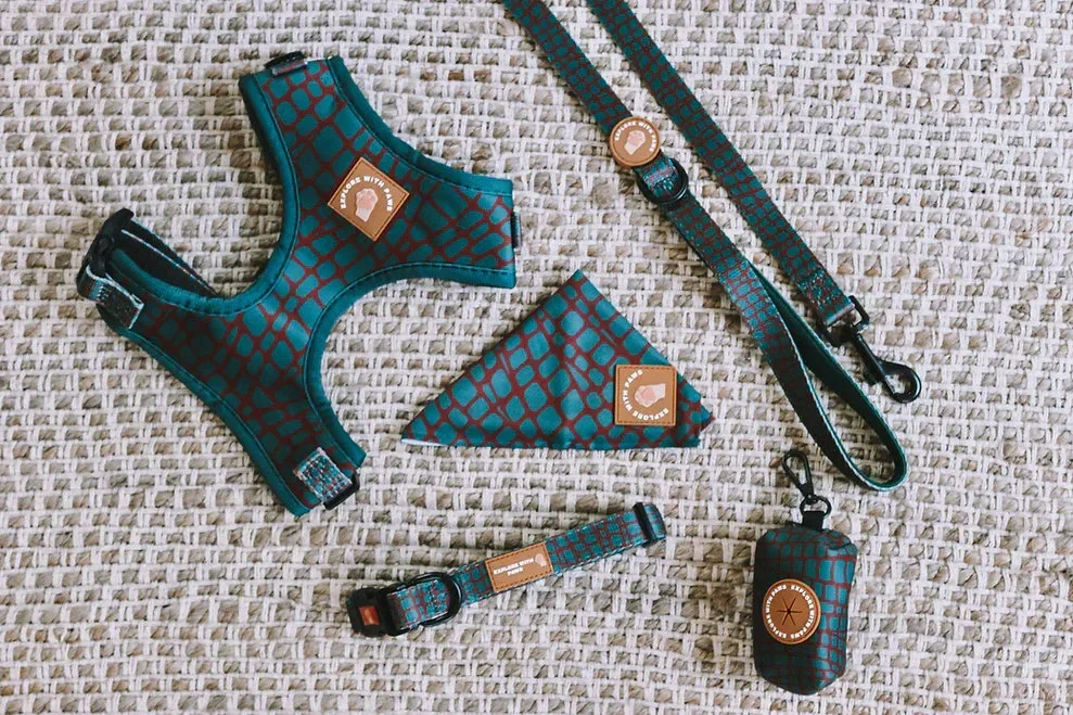  Dog Accessories Bundle Packaged