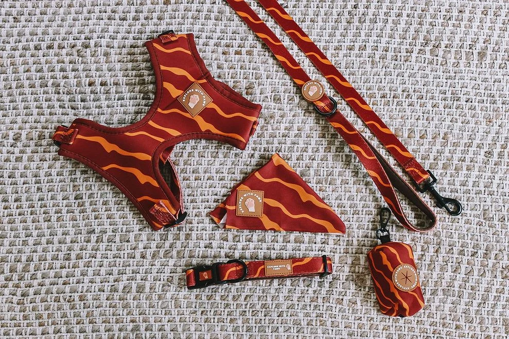  Dog Accessories Bundle Packaged