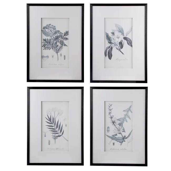 Set 4 Flora & Fauna Framed Prints 76cm