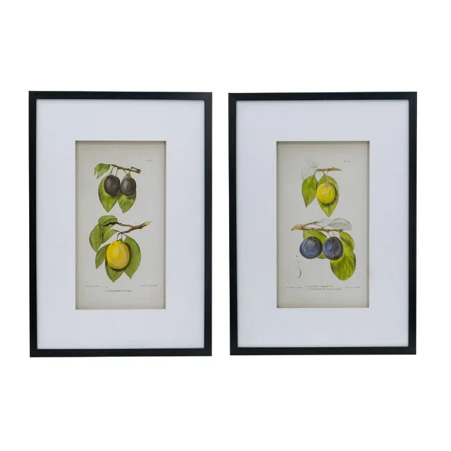 Set 2 Botanical Wall Decor 70cm