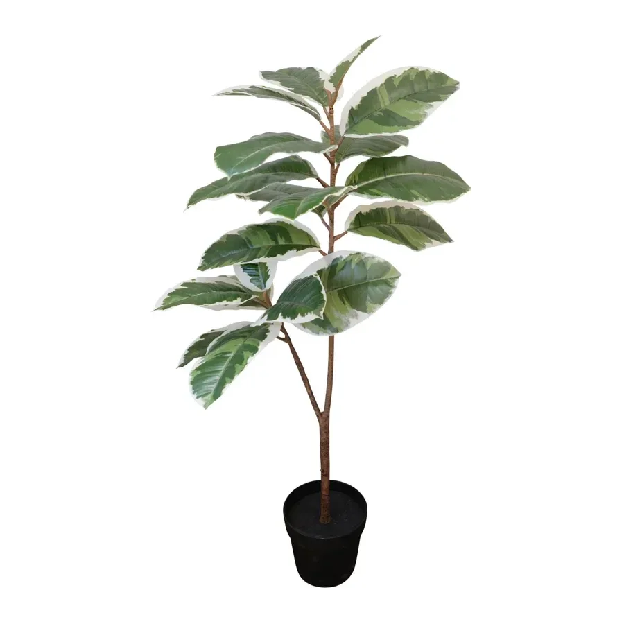 Potted Artificial Variegated Rubber Leaf Tree 118cm
