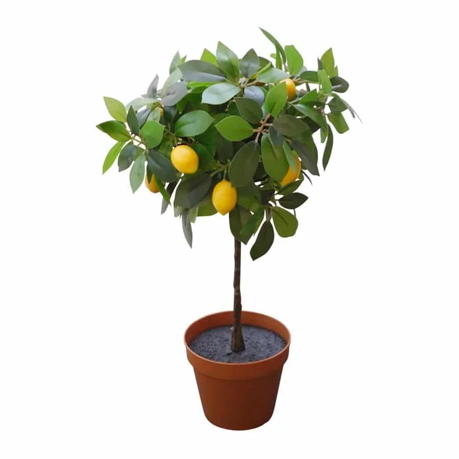 Potted Artificial Lemon Tree 43cm