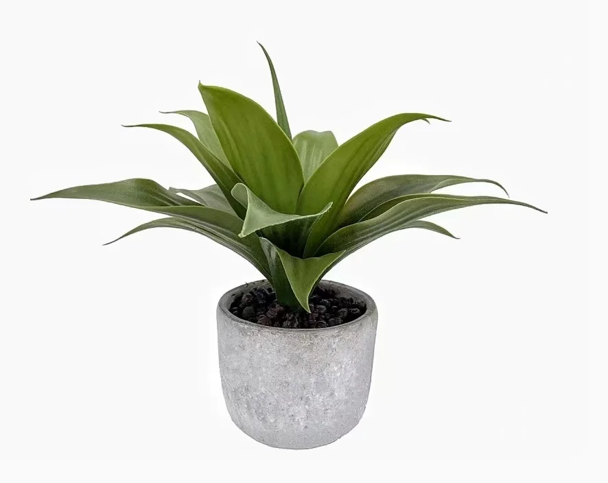Artificial Aloe Vera in Cement Pot 36cm