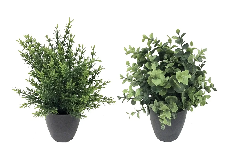 Set 2 Artificial Grass in Pot Assort 25cm