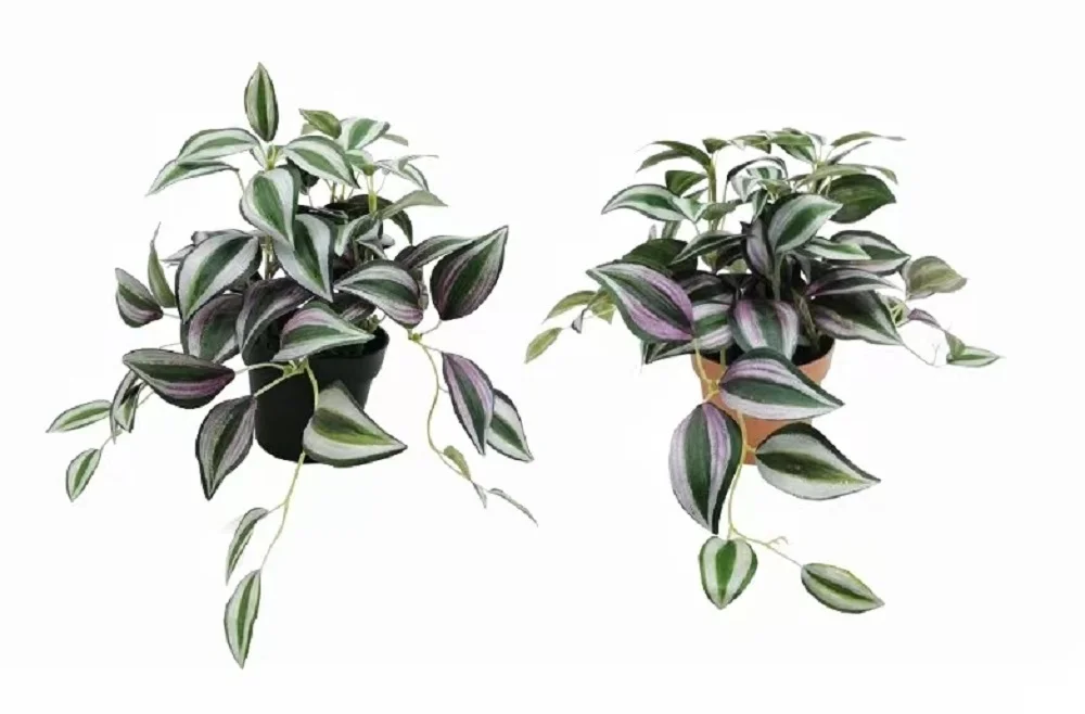 Set 2 Artificial Inch Plant in Pot Assorted 23cm