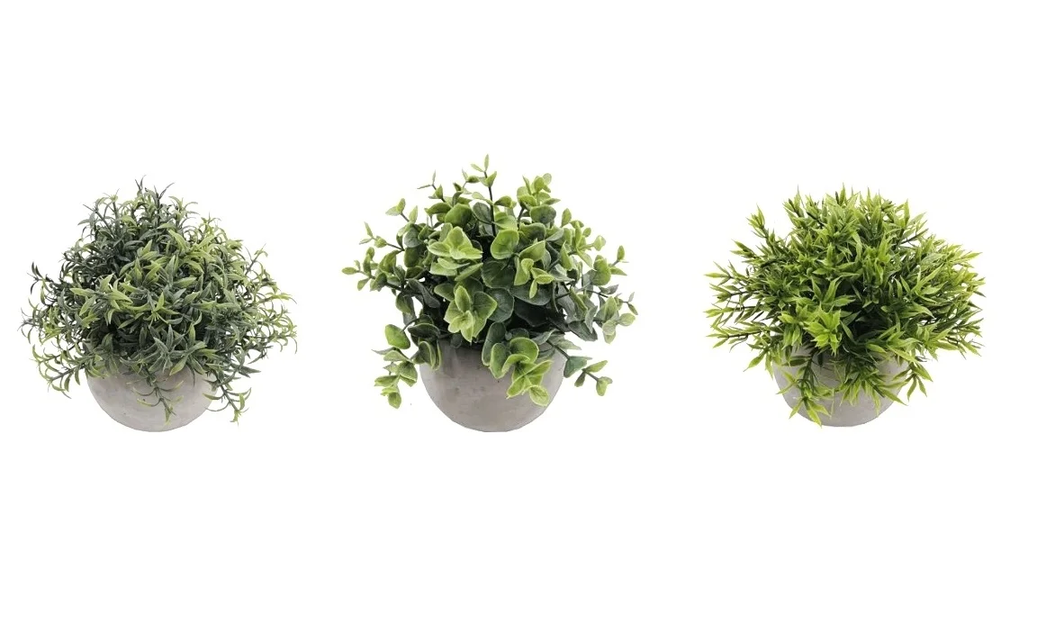 Set 3 Artificial Plant in Cement Pot Assort 18cm