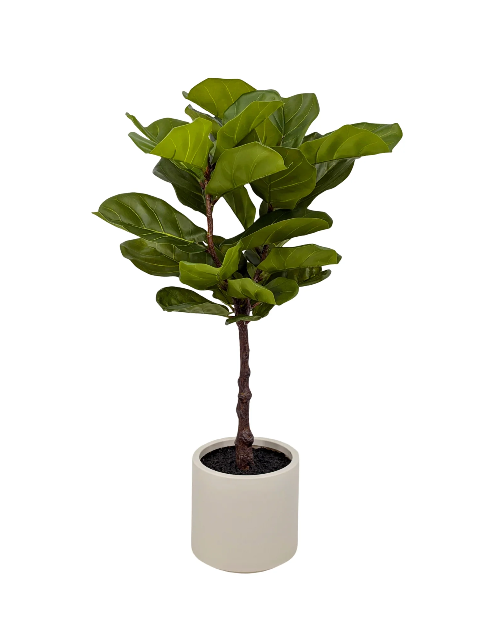 Artificial Real Touch Fiddleleaf Tree 100cm