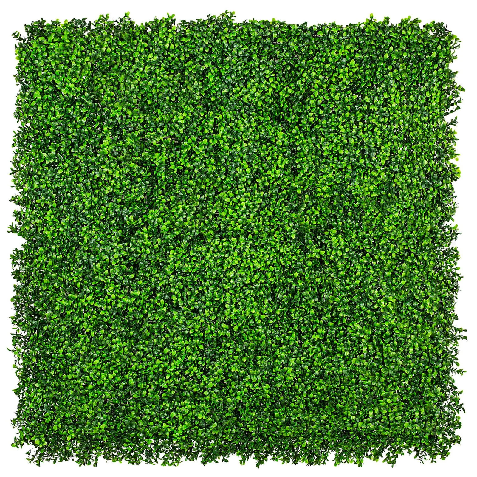 Luxury Deluxe Buxus (Bright) Hedge Panels UV Resistant 1m X 1m