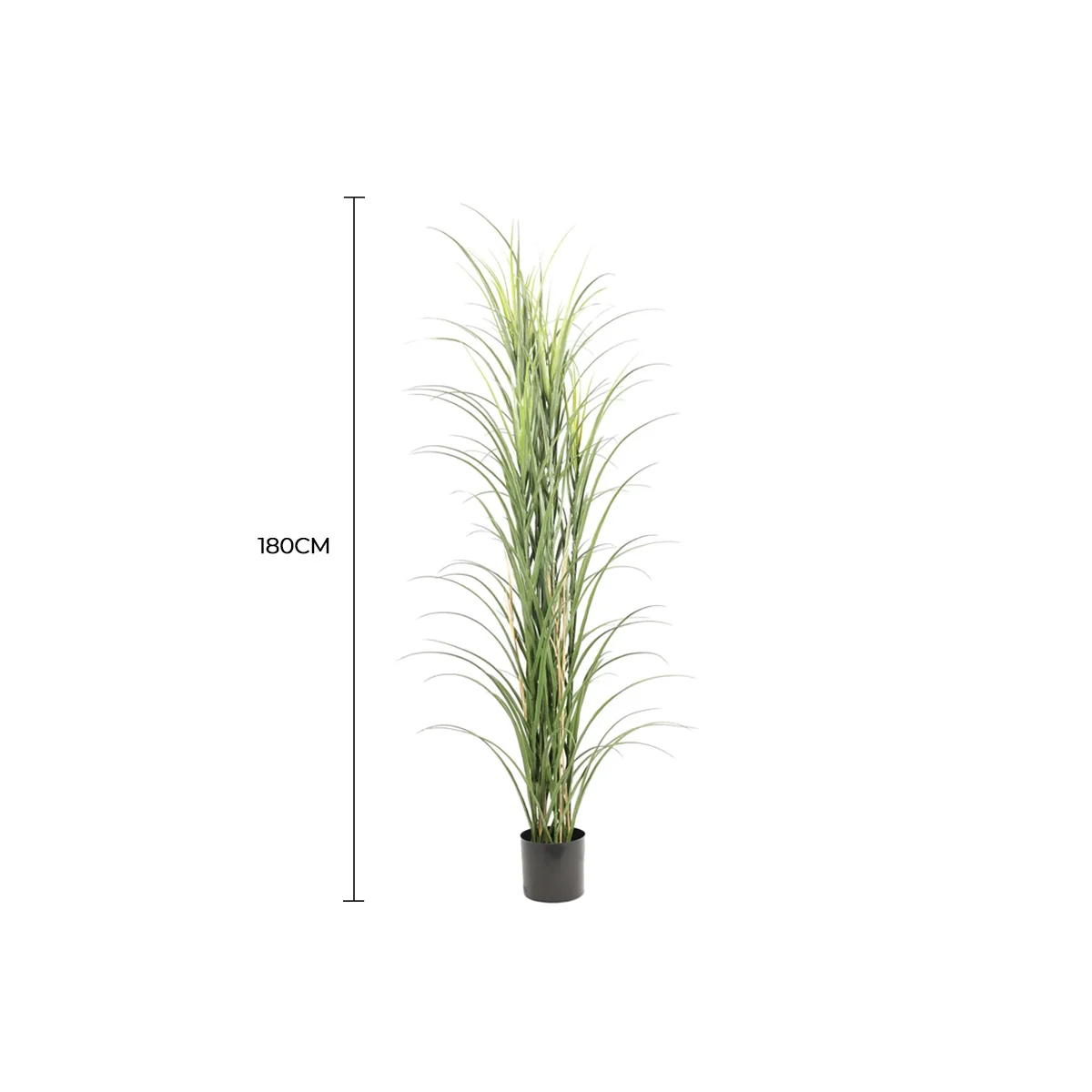 Premium Potted Artificial Long Grass (Yucca Grass / Reed Grass) 180cm UV Resistant