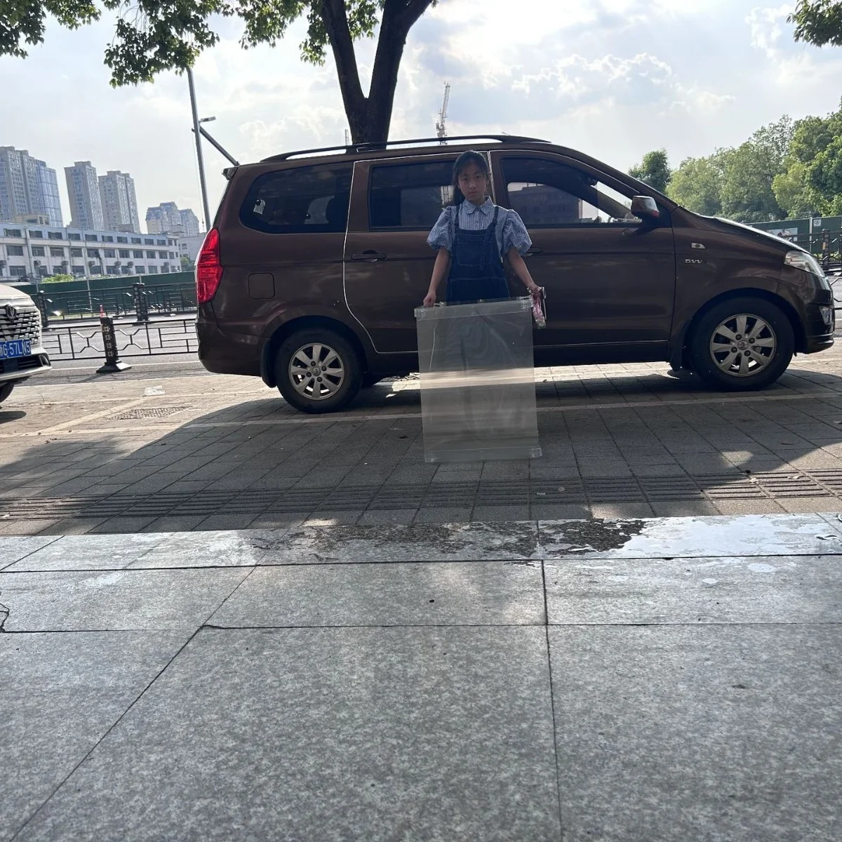 30*20CM Amazing Invisibility Shield Prop - Optical Illusion Lenticular Lens for Magic Tricks