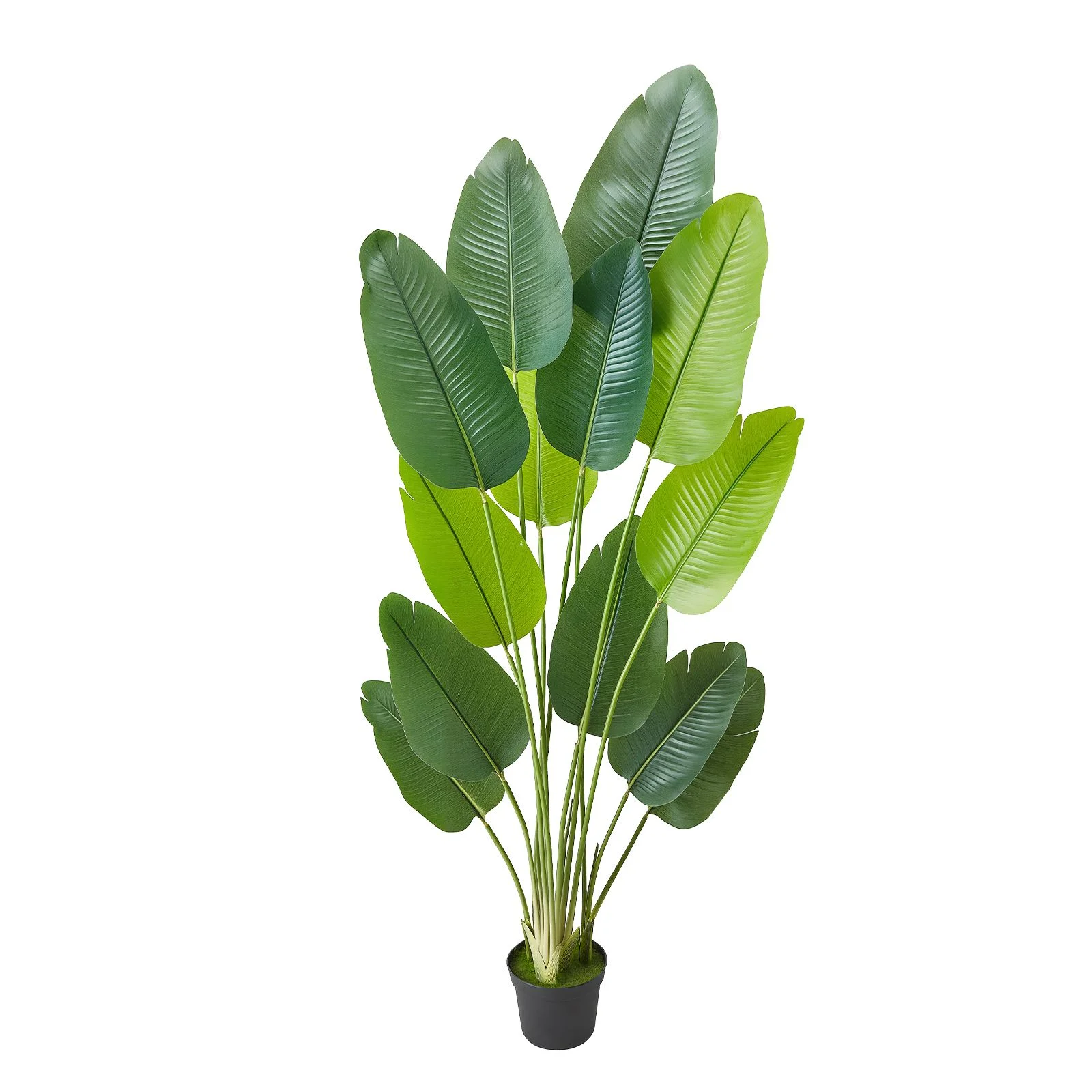 VEVOR Artificial Bird of Paradise 1829 mm with 13 Trunks & White Pot